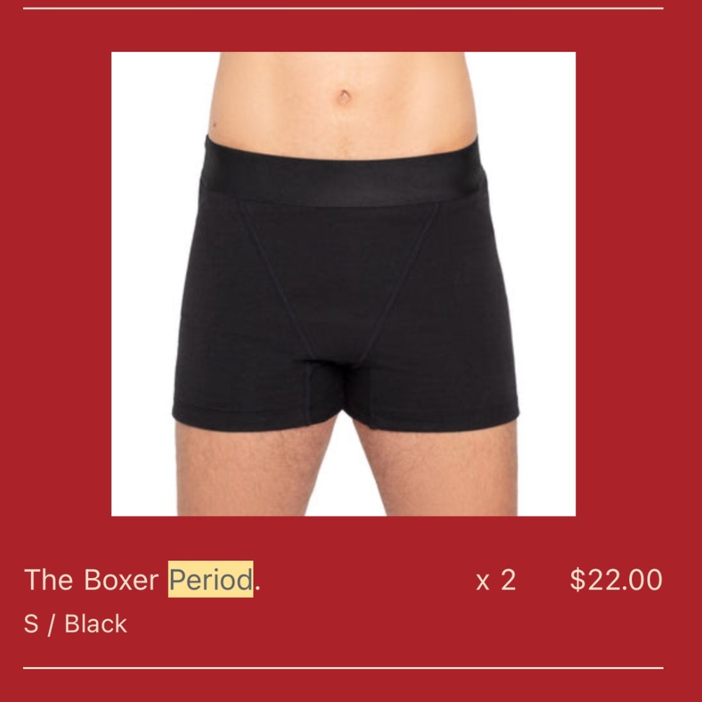 NWT Period Underwear by The Period Company